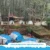 camping riverside murah